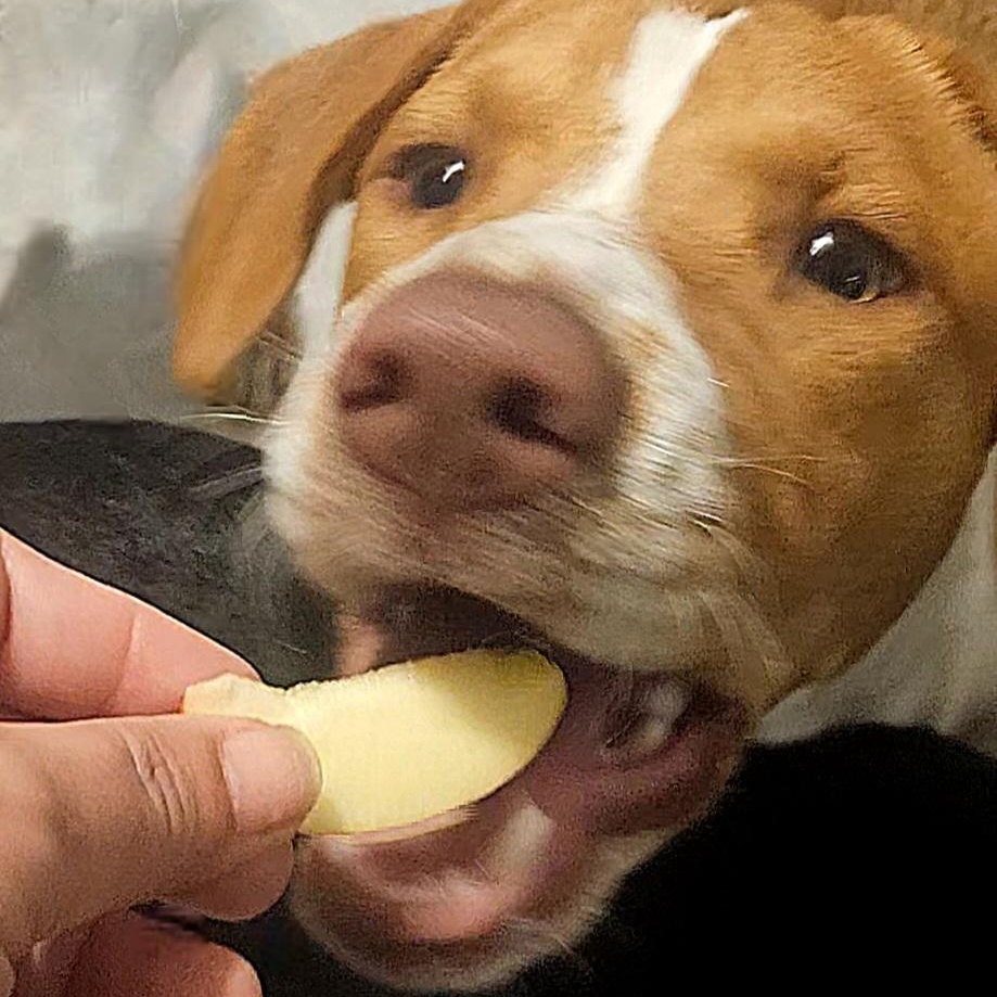 Hannah — thumbnail 4