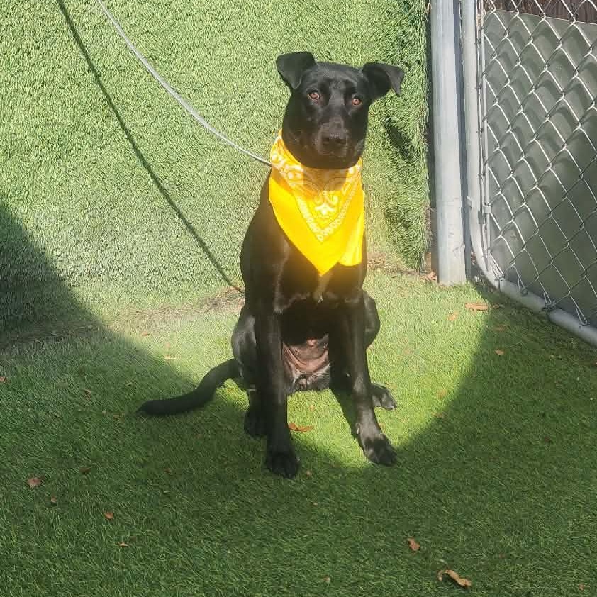 Endora — thumbnail 3