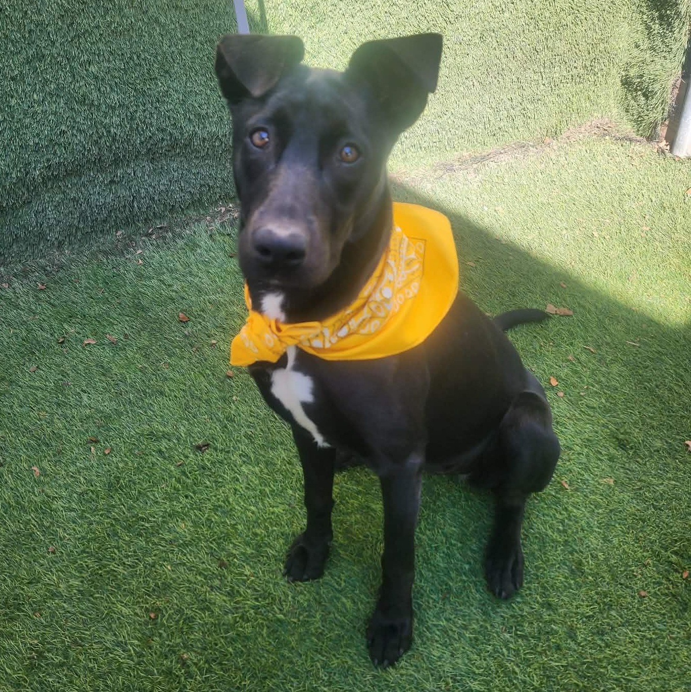 Endora — thumbnail 4