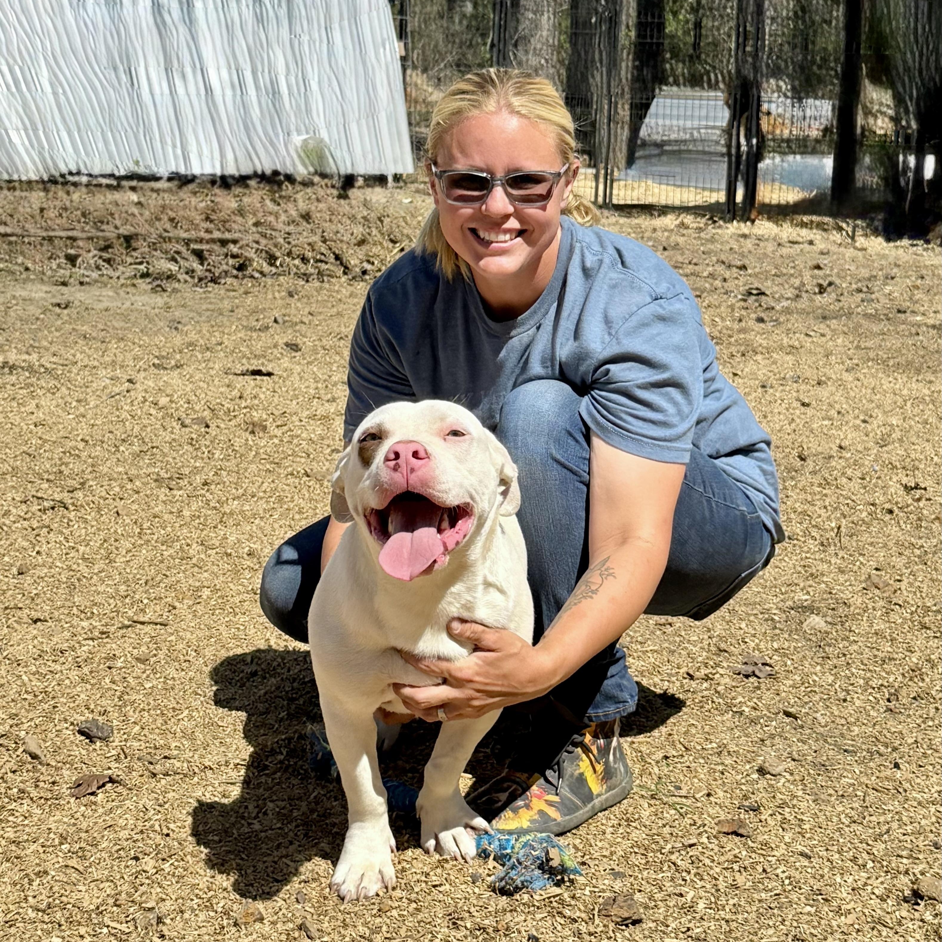 Stimpy , a ADOPTABLE mixed breed in Boulder, CO image 4/5