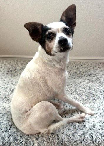 Piper Tx thumbnail 2