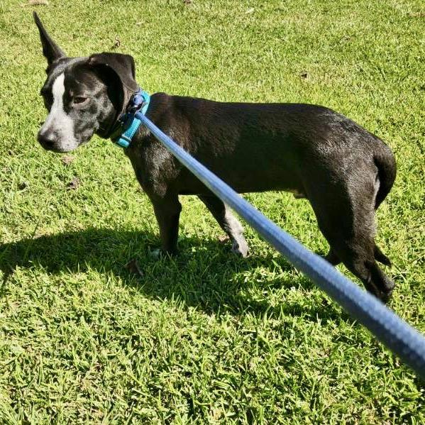 Ronnie McLovin — thumbnail 3