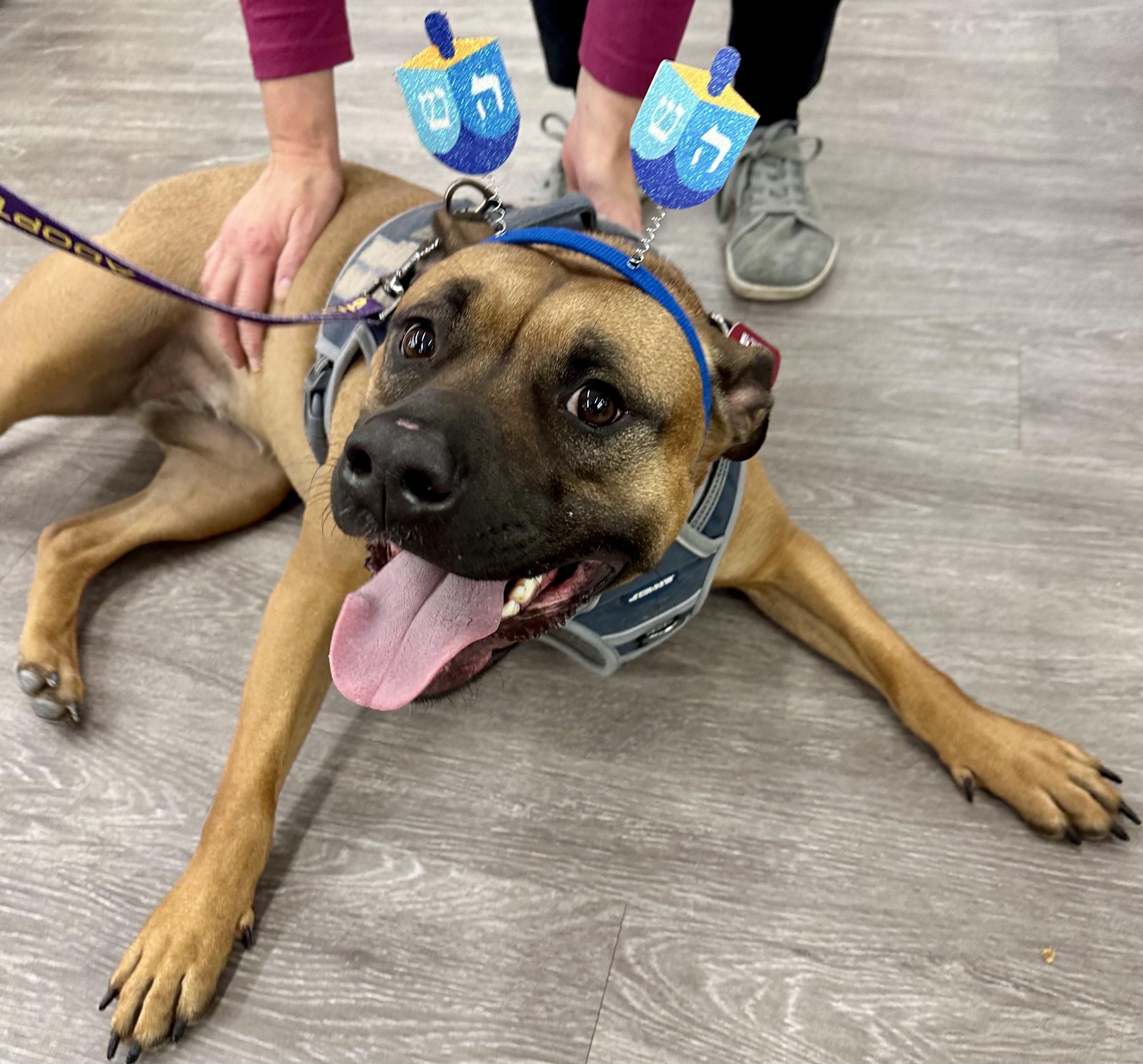 Juno — thumbnail 2