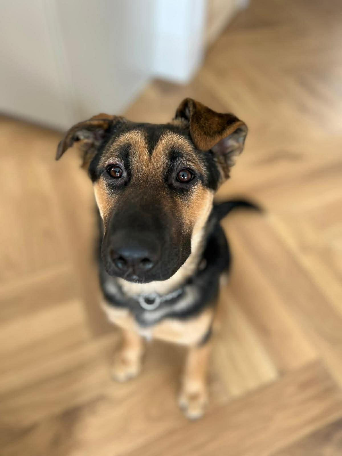 Agatha (20250924-01)