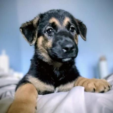 Agatha (20250924-01)