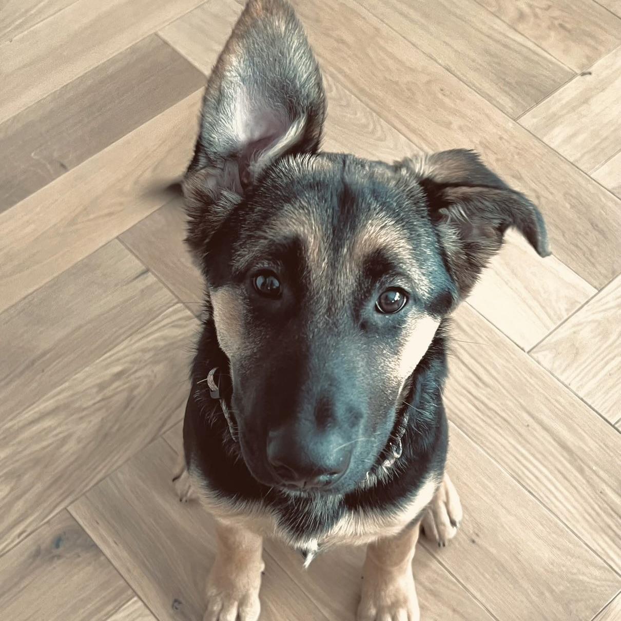 Agatha (20250924-01) — thumbnail 2