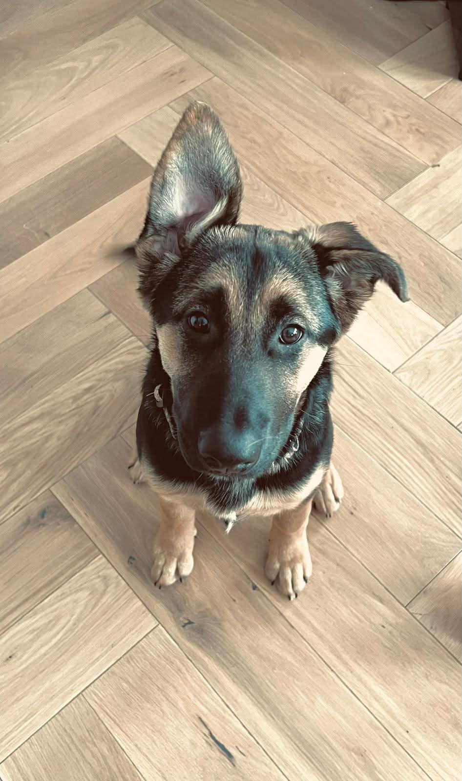 Agatha (20250924-01) — thumbnail 3