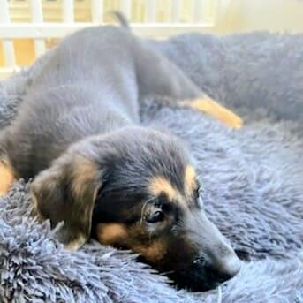 Agatha (20250924-01)