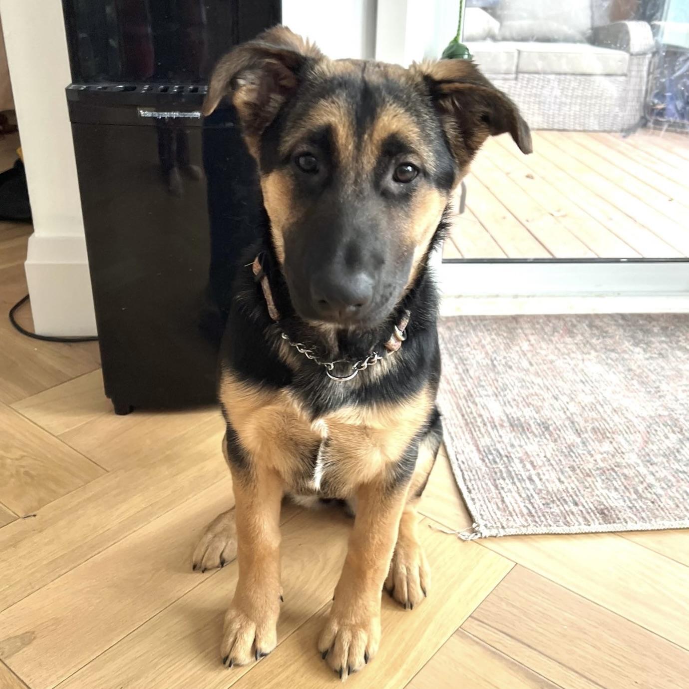 Agatha (20250924-01) — thumbnail 4