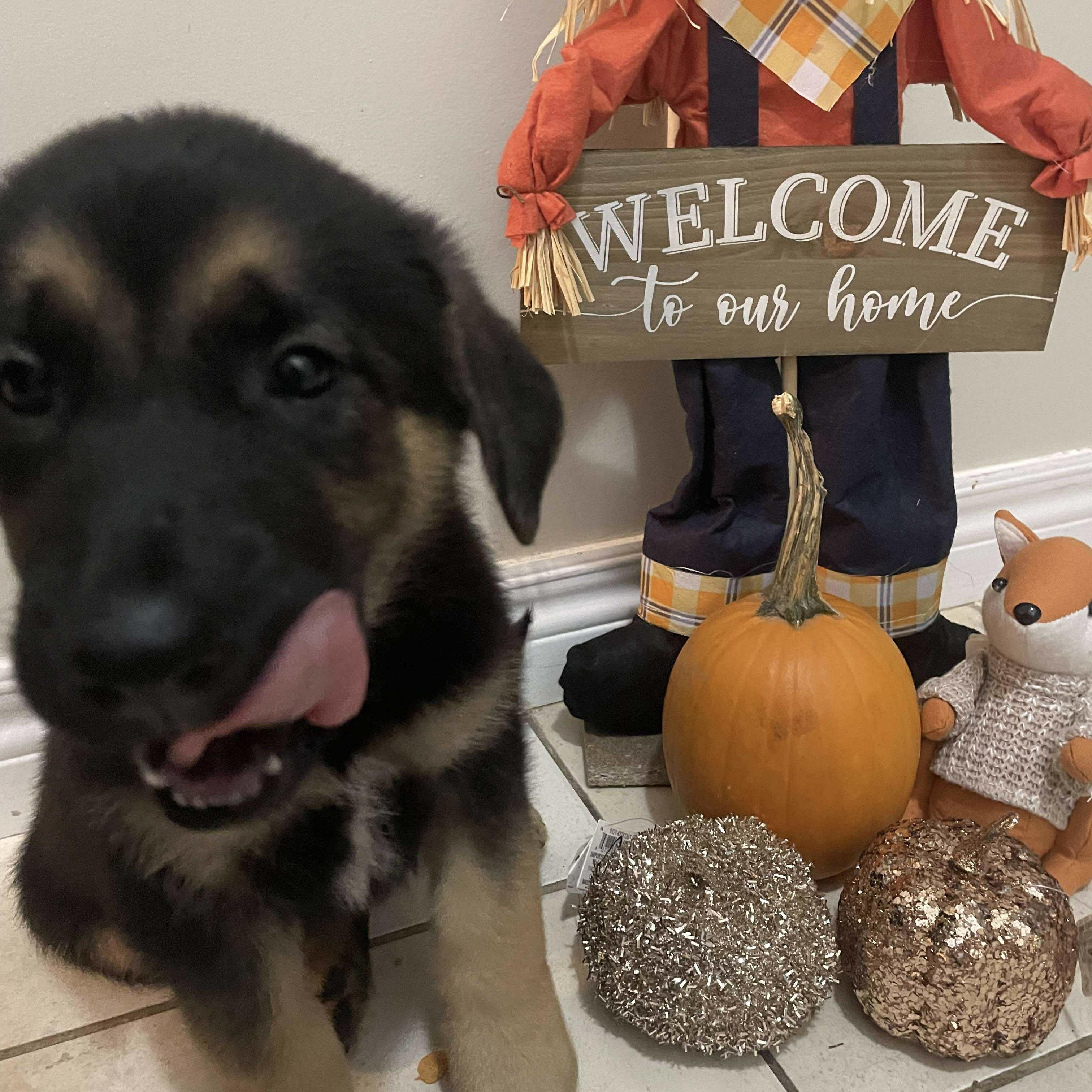 Agatha (20250924-01)