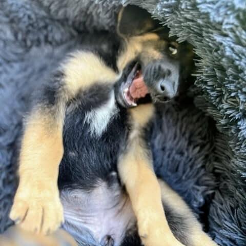 Agatha (20250924-01)