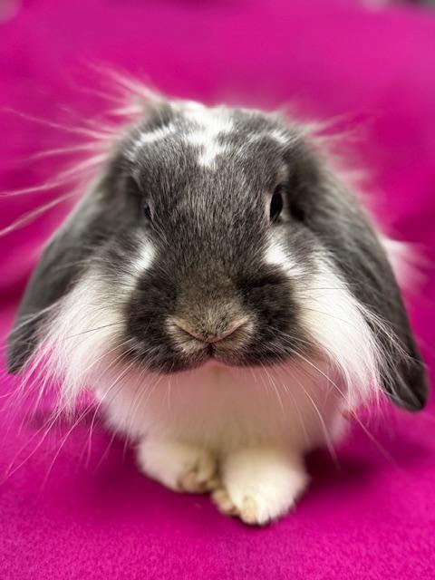 Abner photo 3