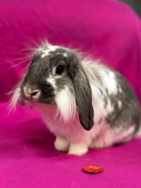 Abner photo 2