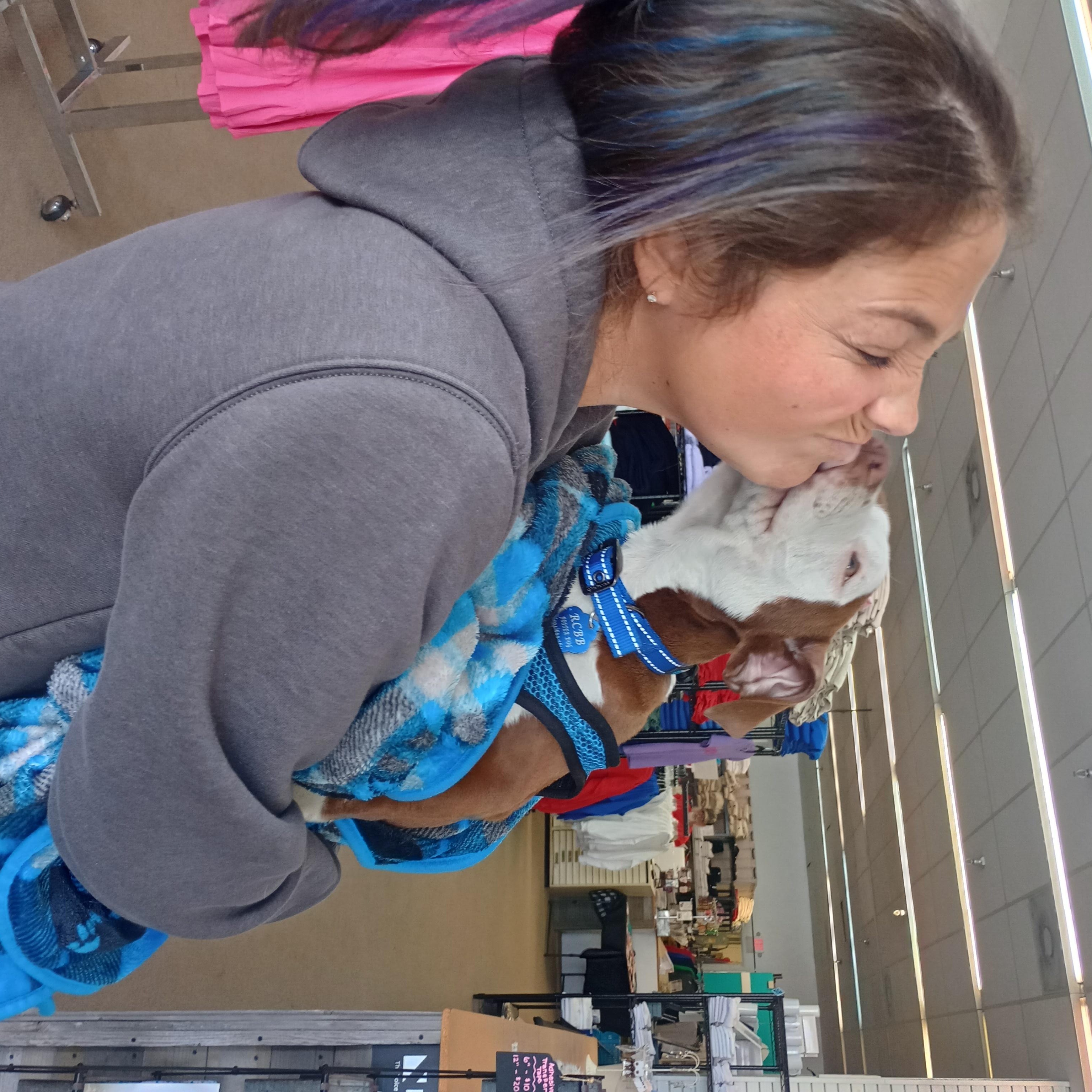 Enlarge Rocksteady , a ADOPTABLE mixed breed in Huntington, WV image 4/5