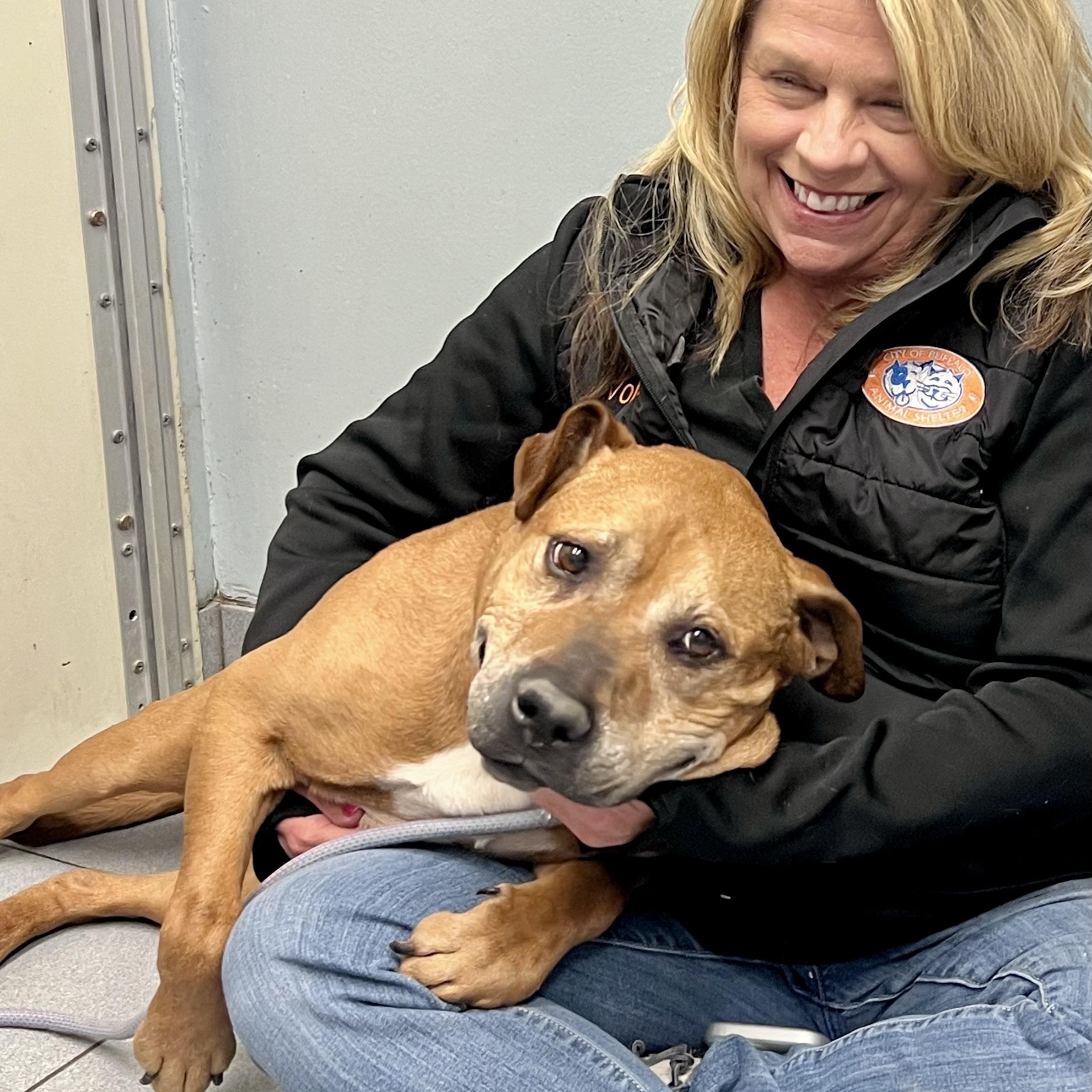 Enlarge Murphy, an adopted Mixed Breed in Buffalo, NY image 5/5