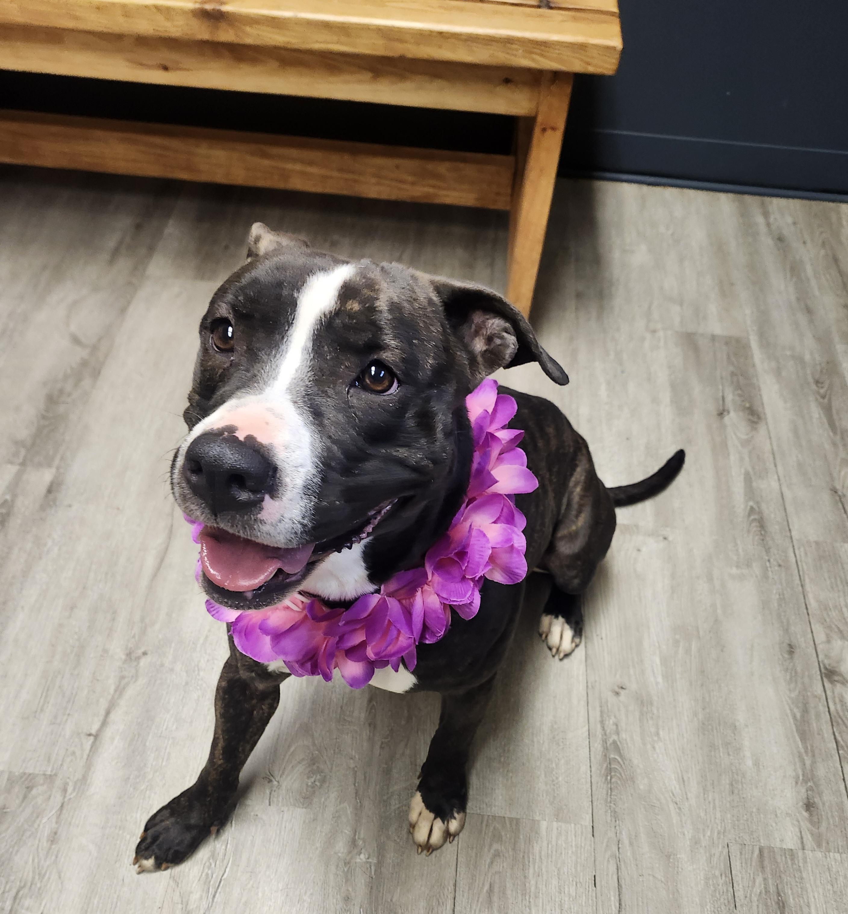 Carrie Ann thumbnail 2