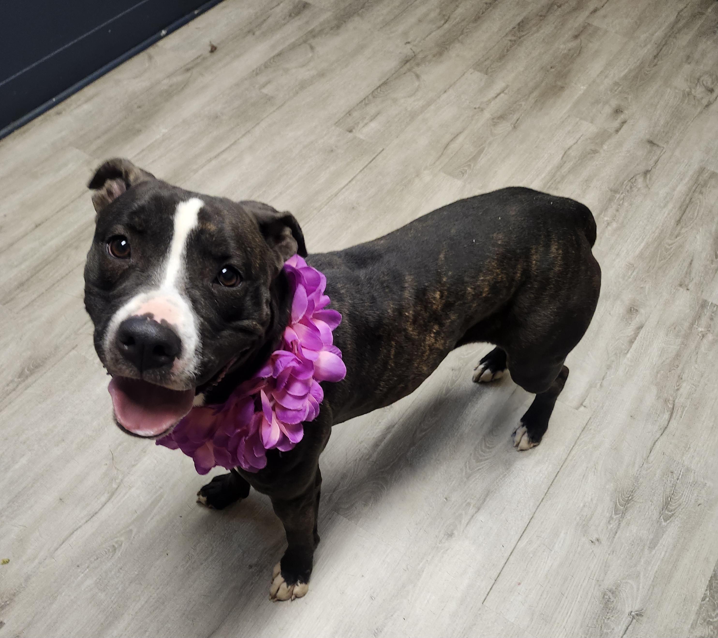 Carrie Ann thumbnail 4