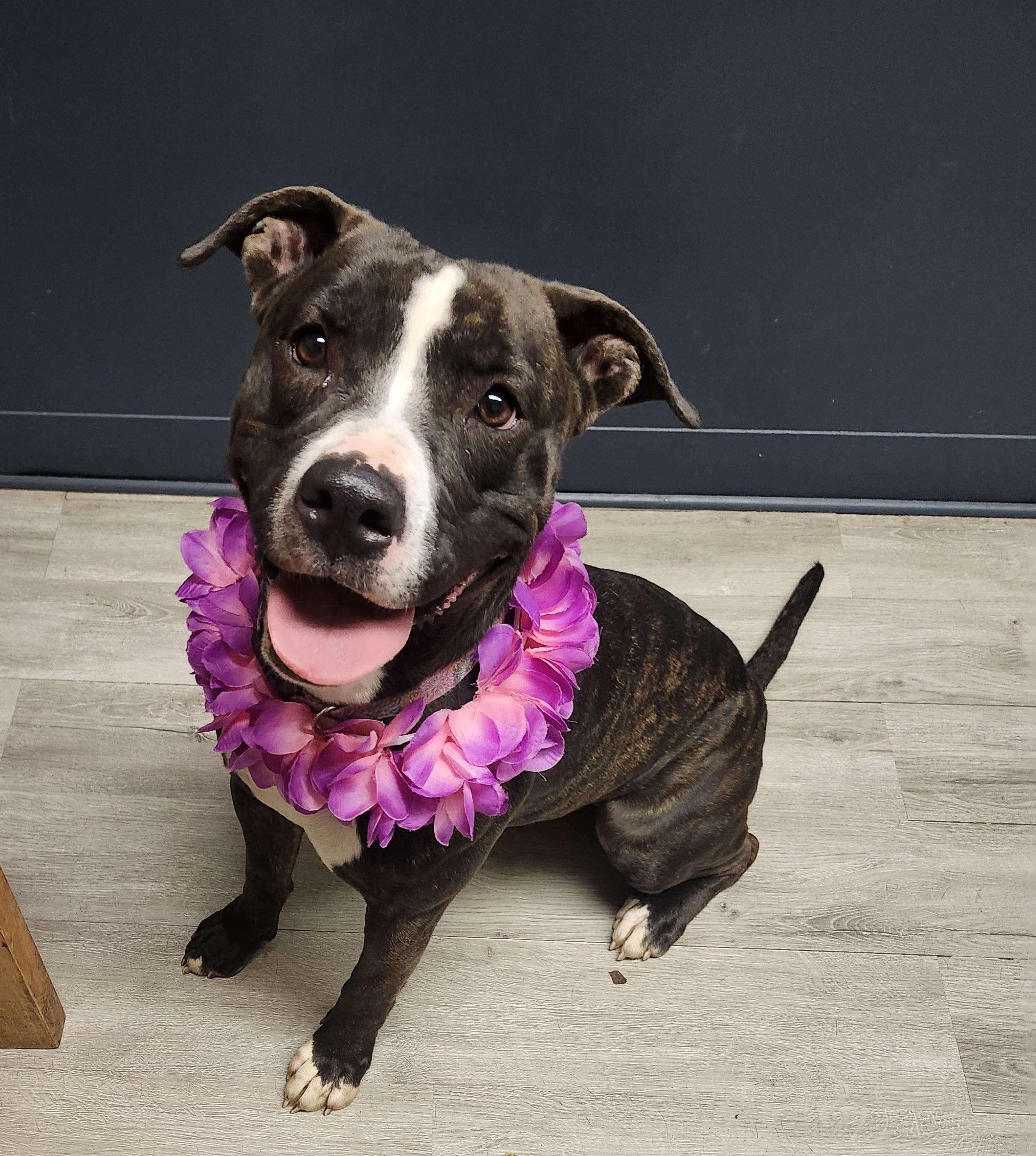 Carrie Ann thumbnail 5