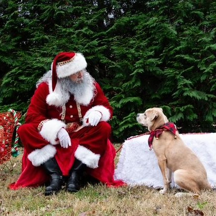 London — thumbnail 4