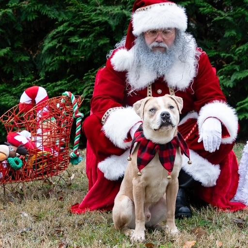 London — thumbnail 5