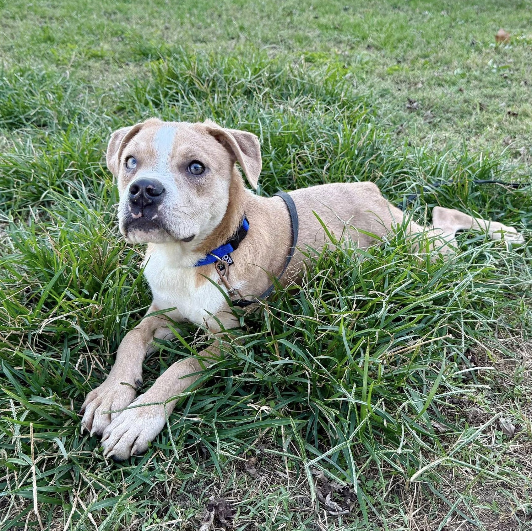 London — thumbnail 6