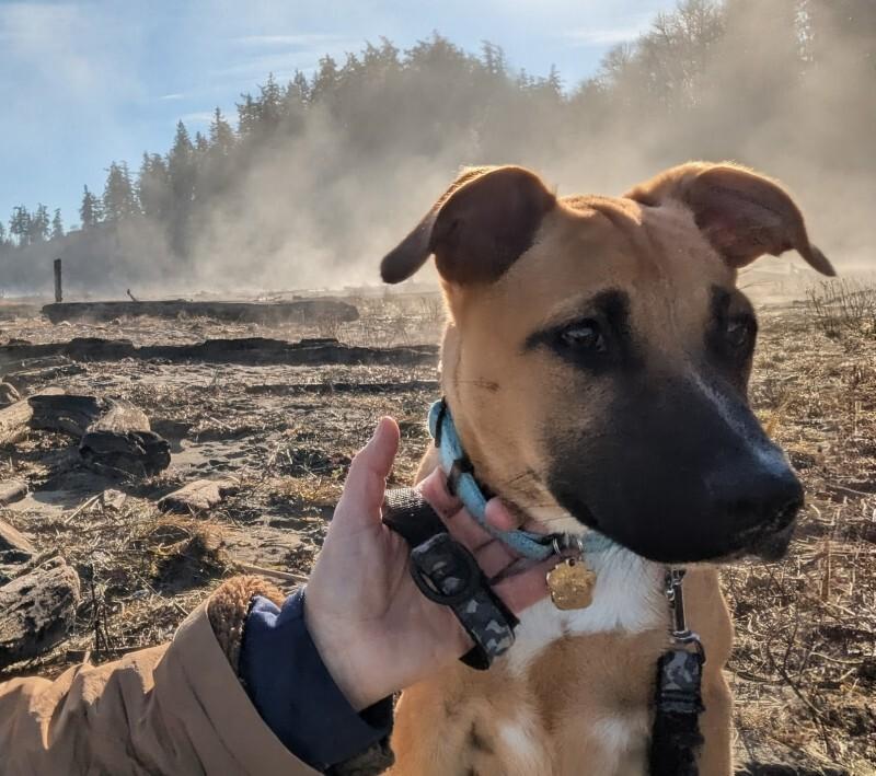 Cheerio — thumbnail 2