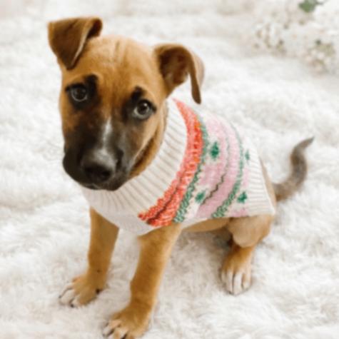 Cheerio — thumbnail 3