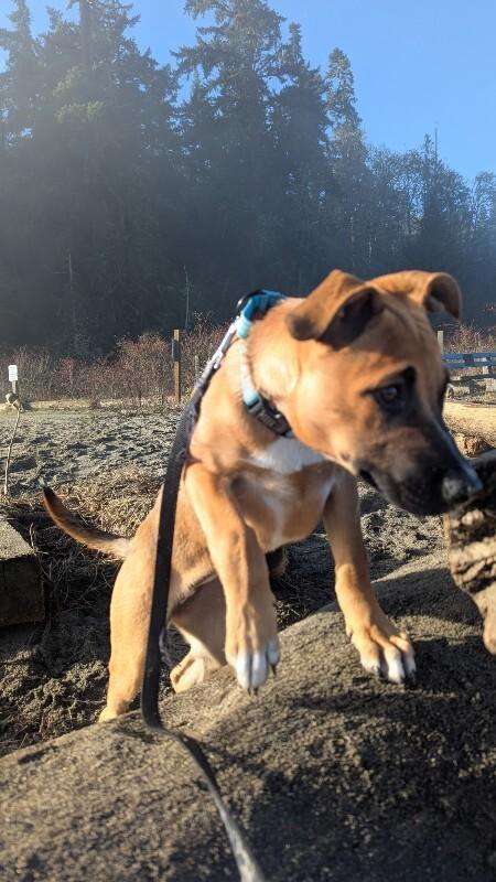 Cheerio — thumbnail 5