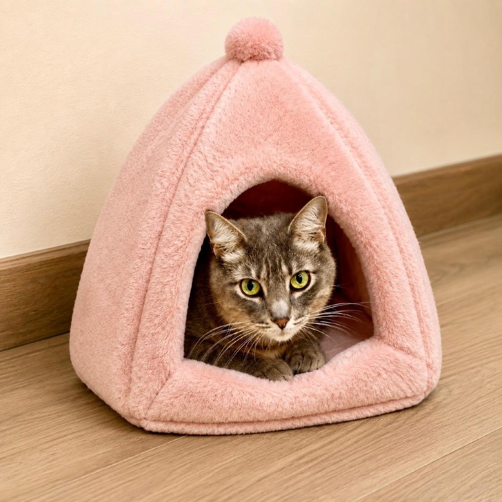 Katniss, a Adoptable Domestic Short Hair in Las Vegas, NV image 4/4