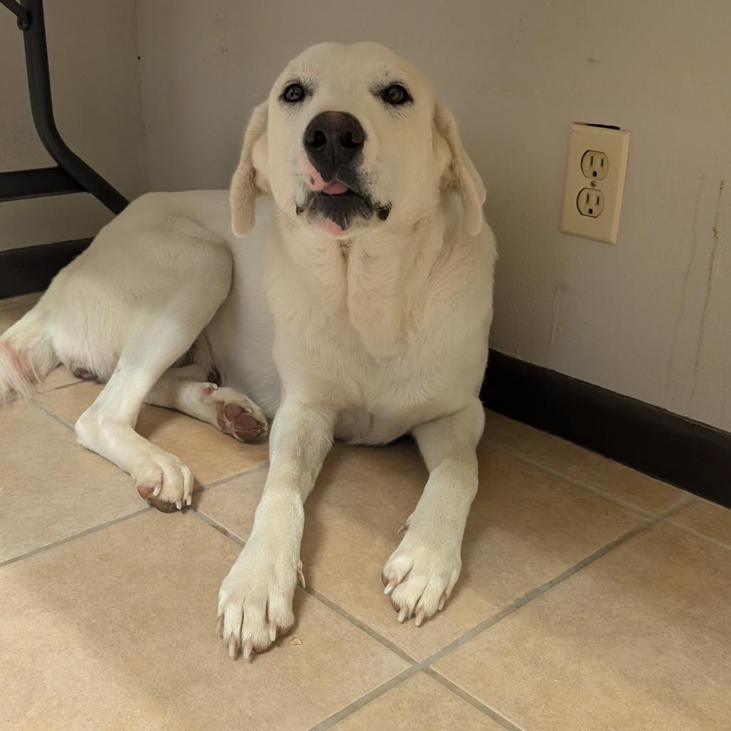 Rhonda White thumbnail 3