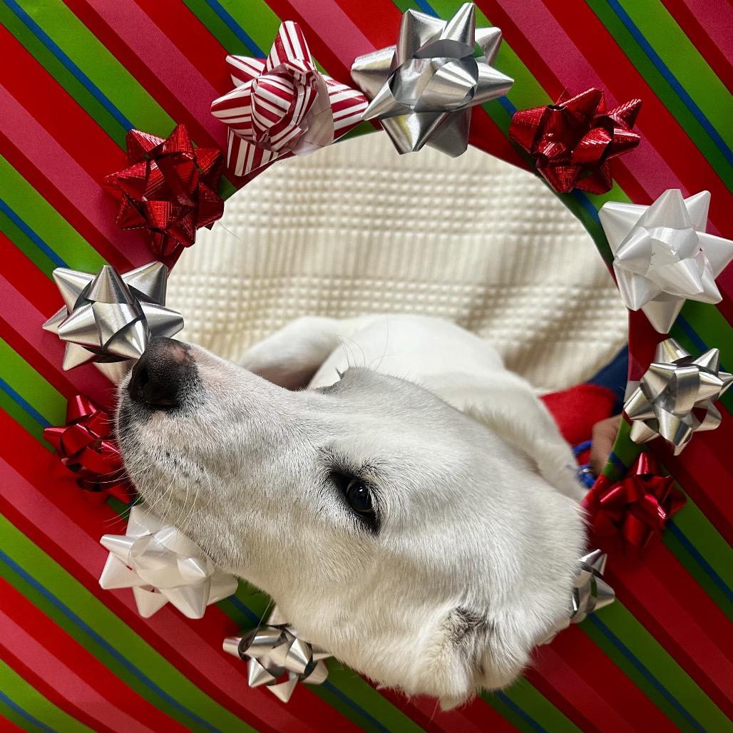 Rhonda White thumbnail 4