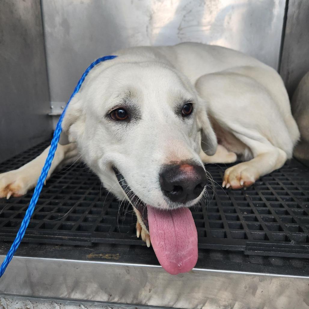 Rhonda White thumbnail 5