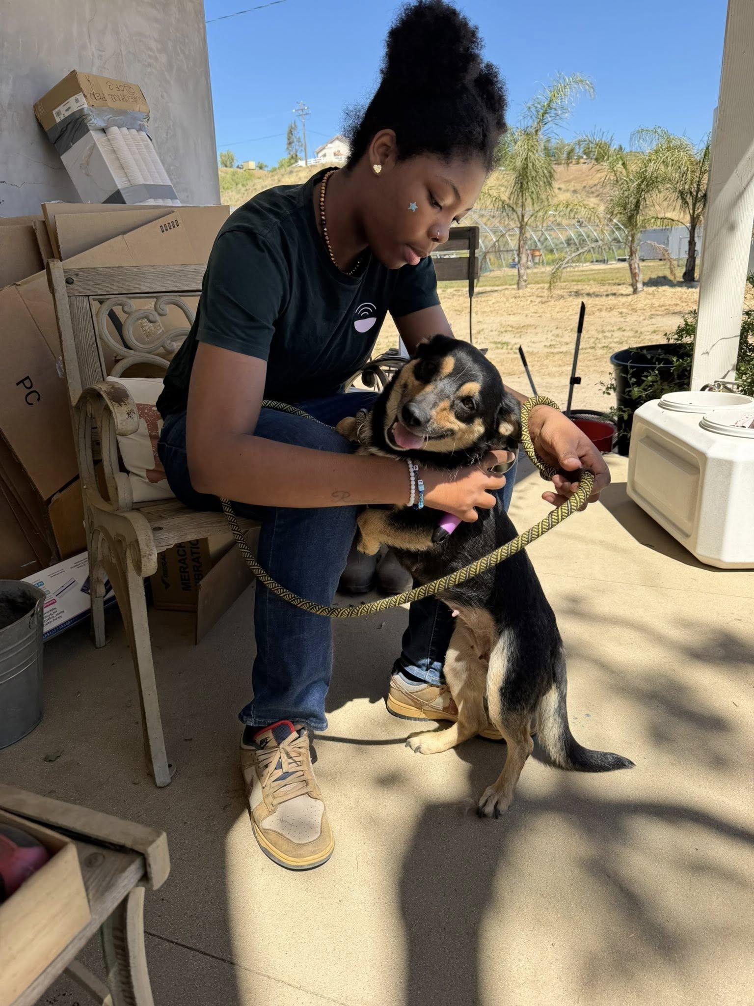 Lexi, an adoptable mixed breed in Agua Dulce, CA image 4/6