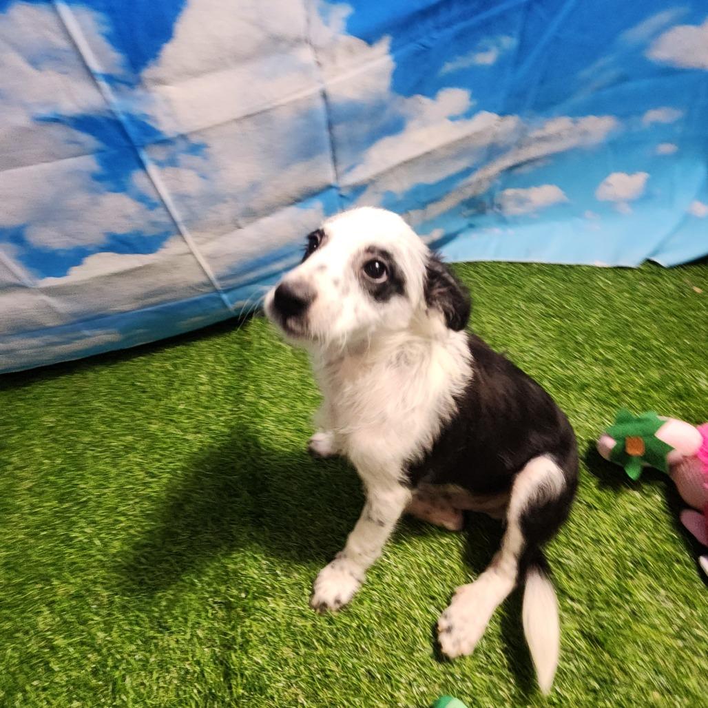 Briar Fj thumbnail 3