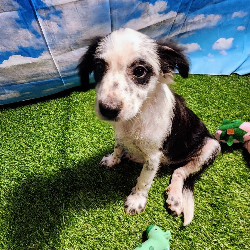 Briar Fj thumbnail 6