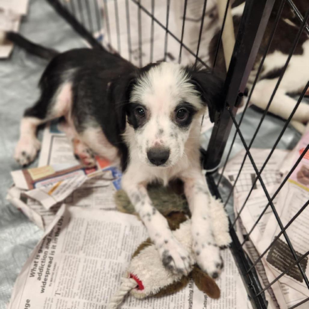 Briar Fj thumbnail 4