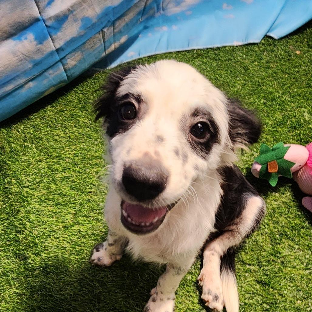 Briar Fj thumbnail 2