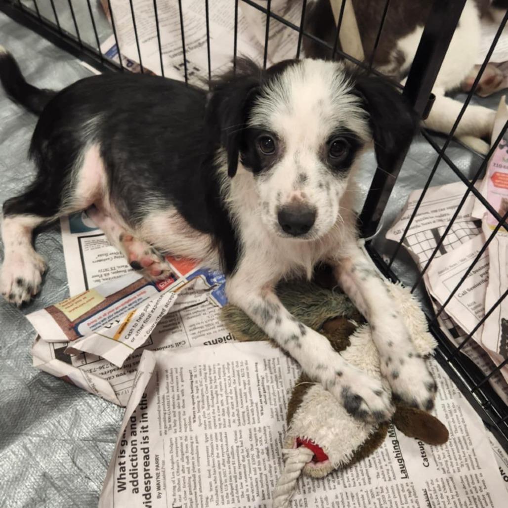 Briar Fj thumbnail 5