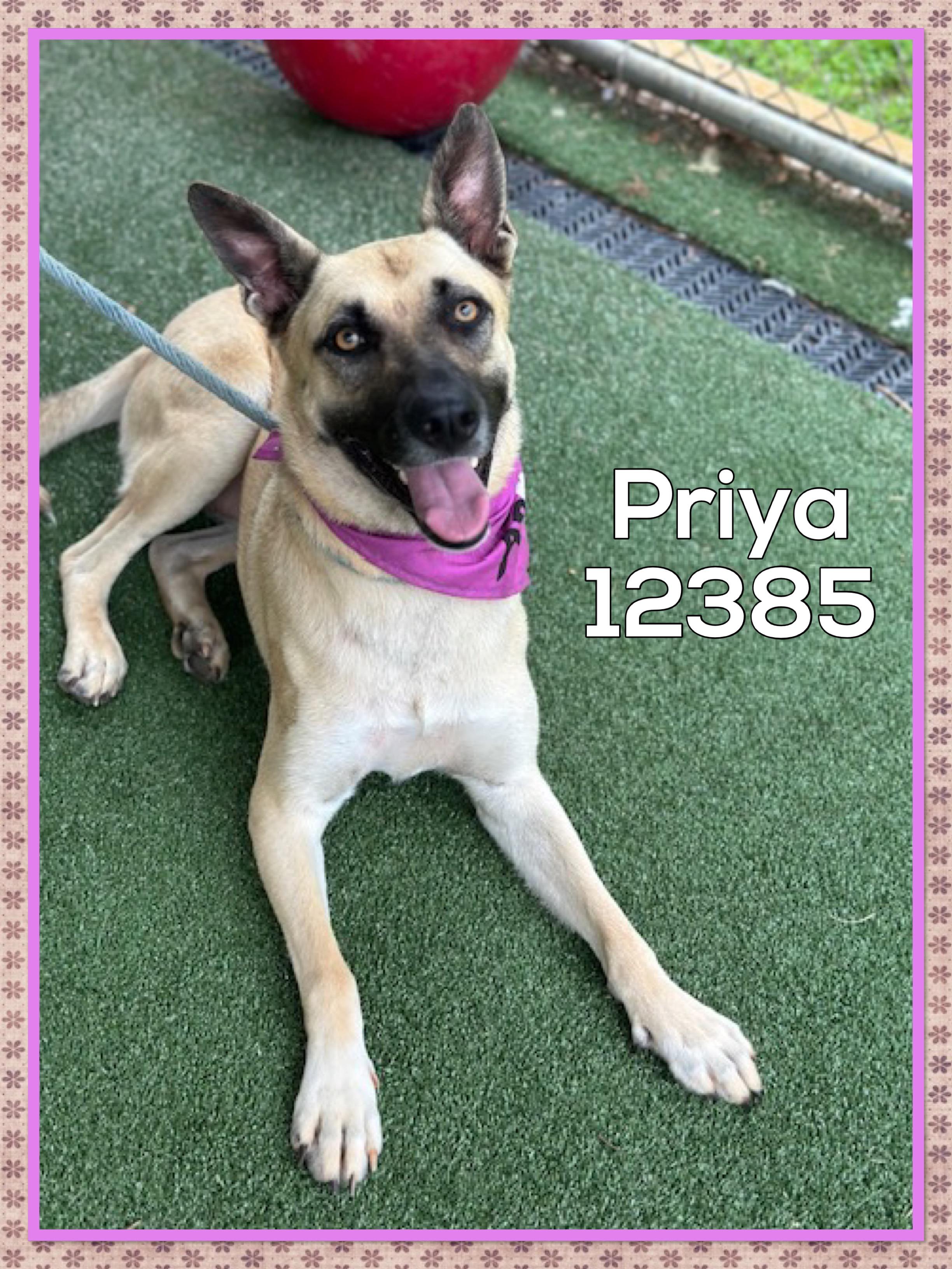 PRIYA (also see PROSPER)