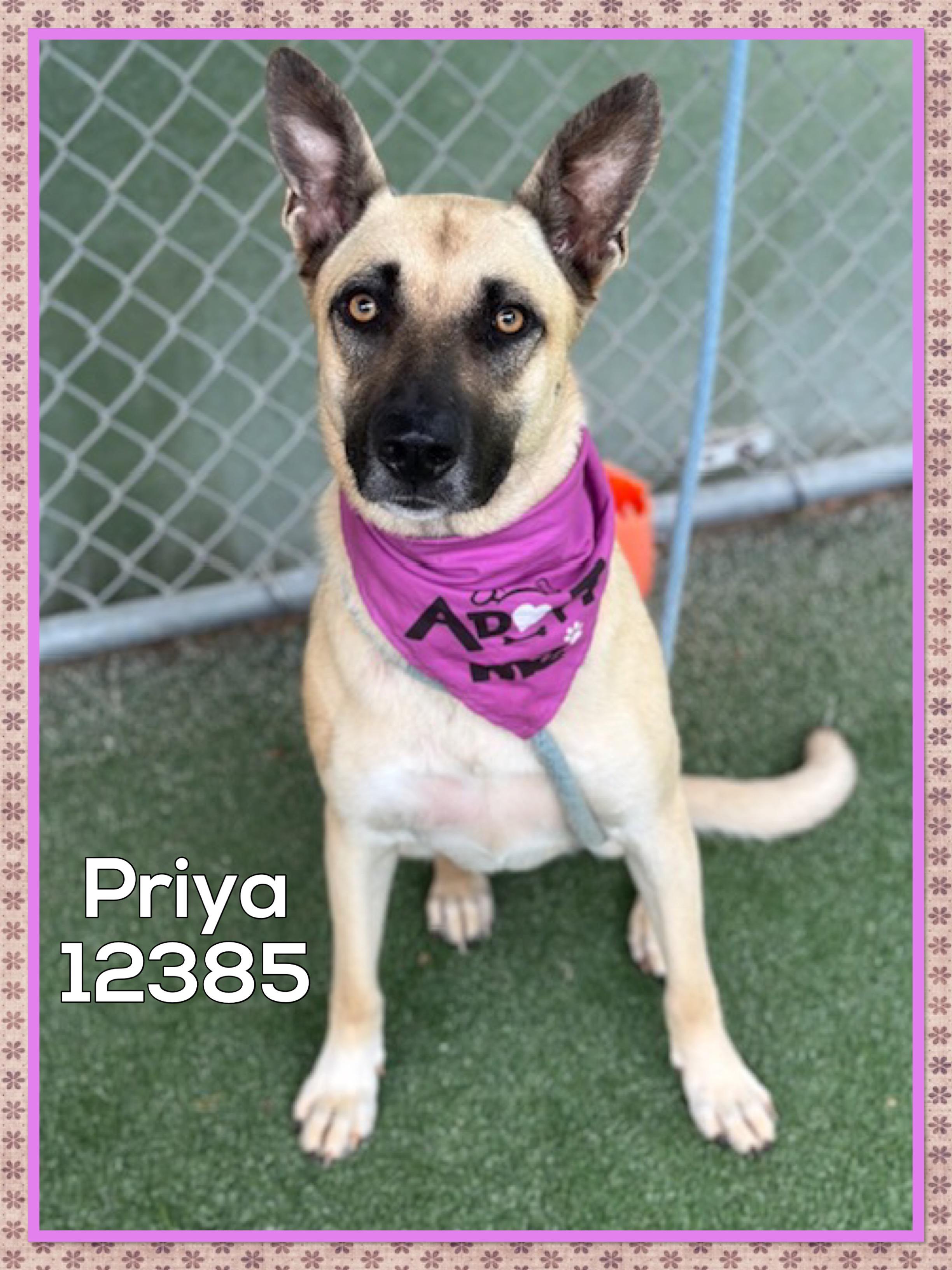 PRIYA (also see PROSPER)