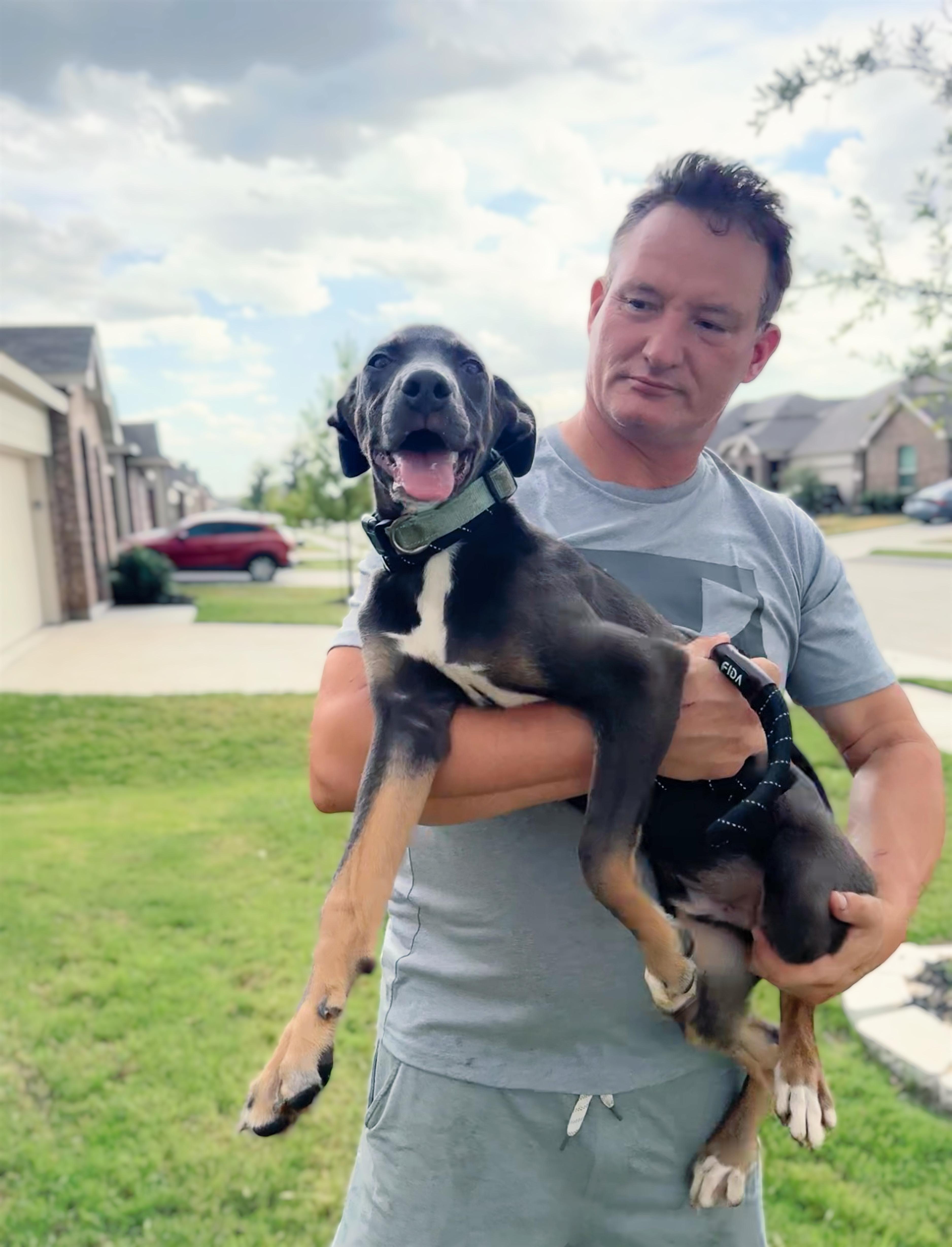 Rooster, a Adoptable mixed breed in Haslet, TX image 1/2