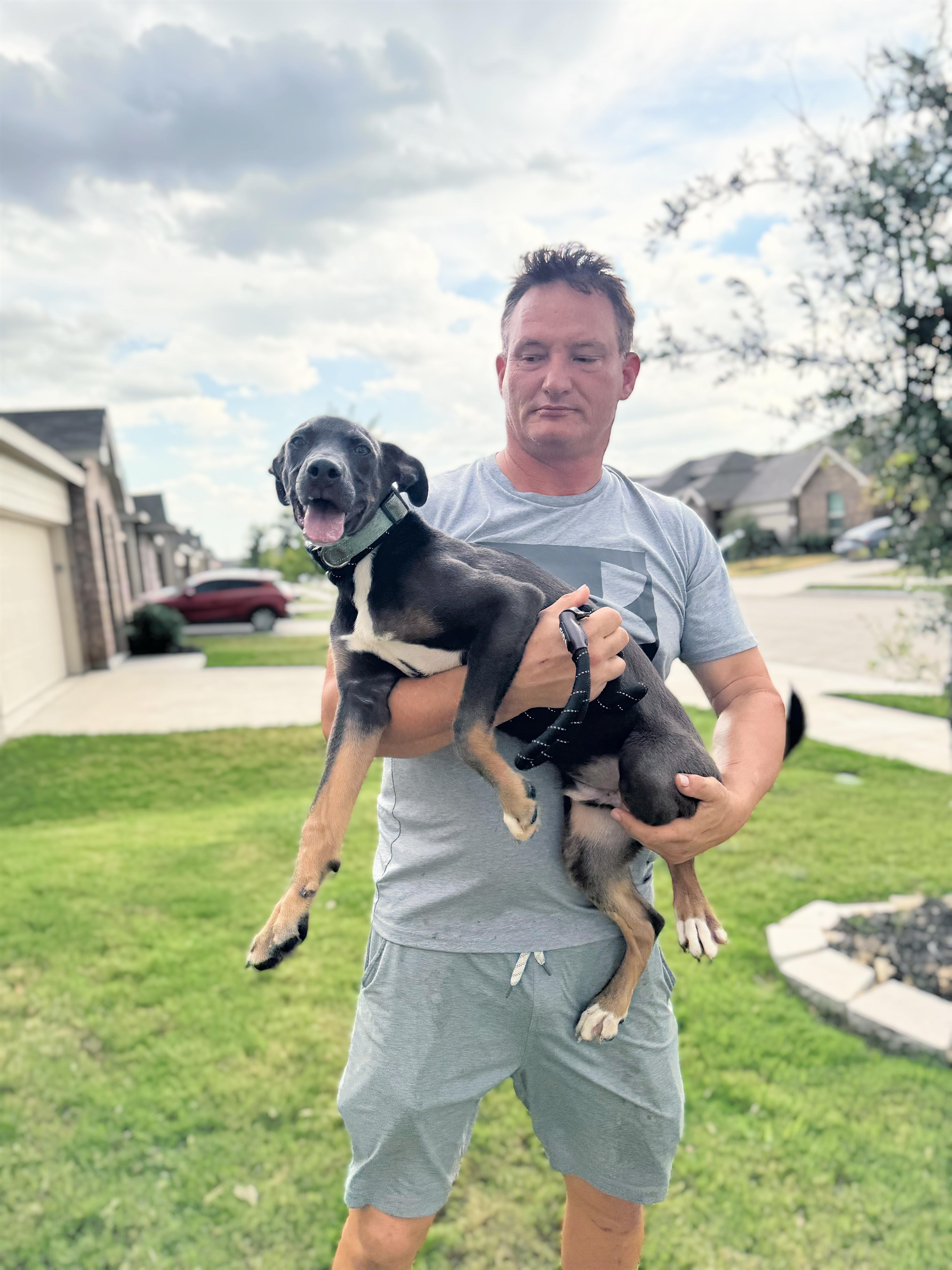 Rooster, a Adoptable mixed breed in Haslet, TX image 2/2