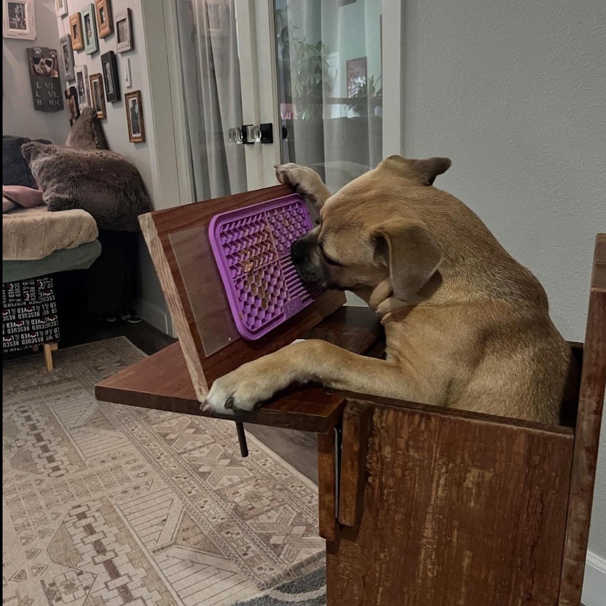 Bindi — thumbnail 4