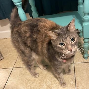 Helen & Olasard — thumbnail 2