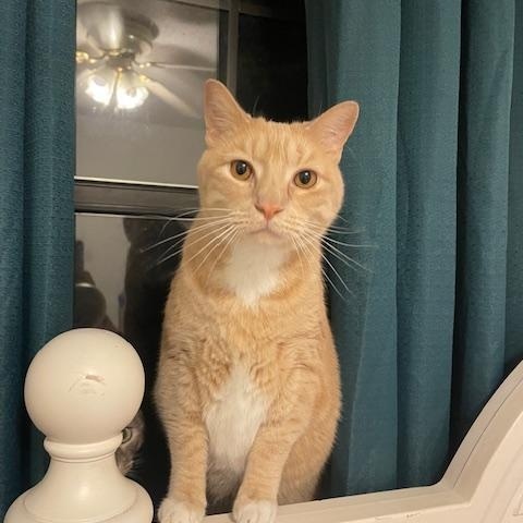 Helen & Olasard — thumbnail 6