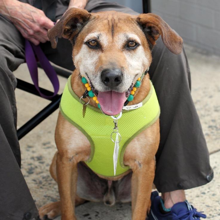 JellyRoll — thumbnail 3