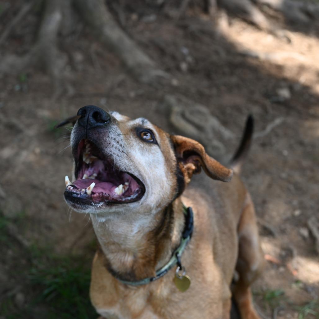 JellyRoll — thumbnail 4