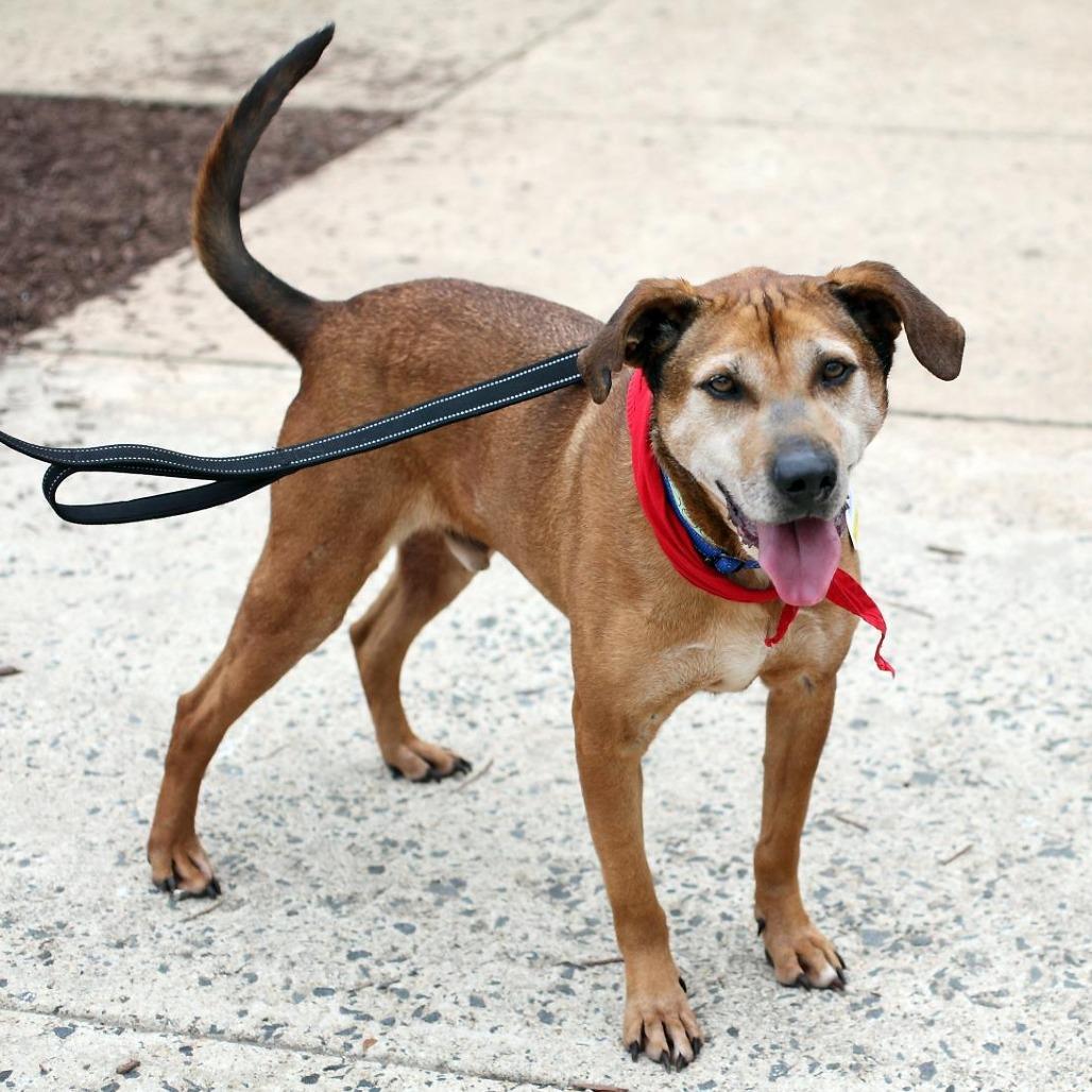 JellyRoll — thumbnail 5