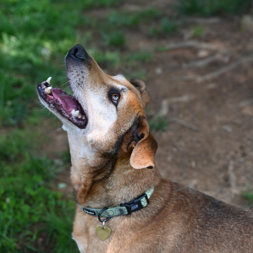 JellyRoll — thumbnail 6