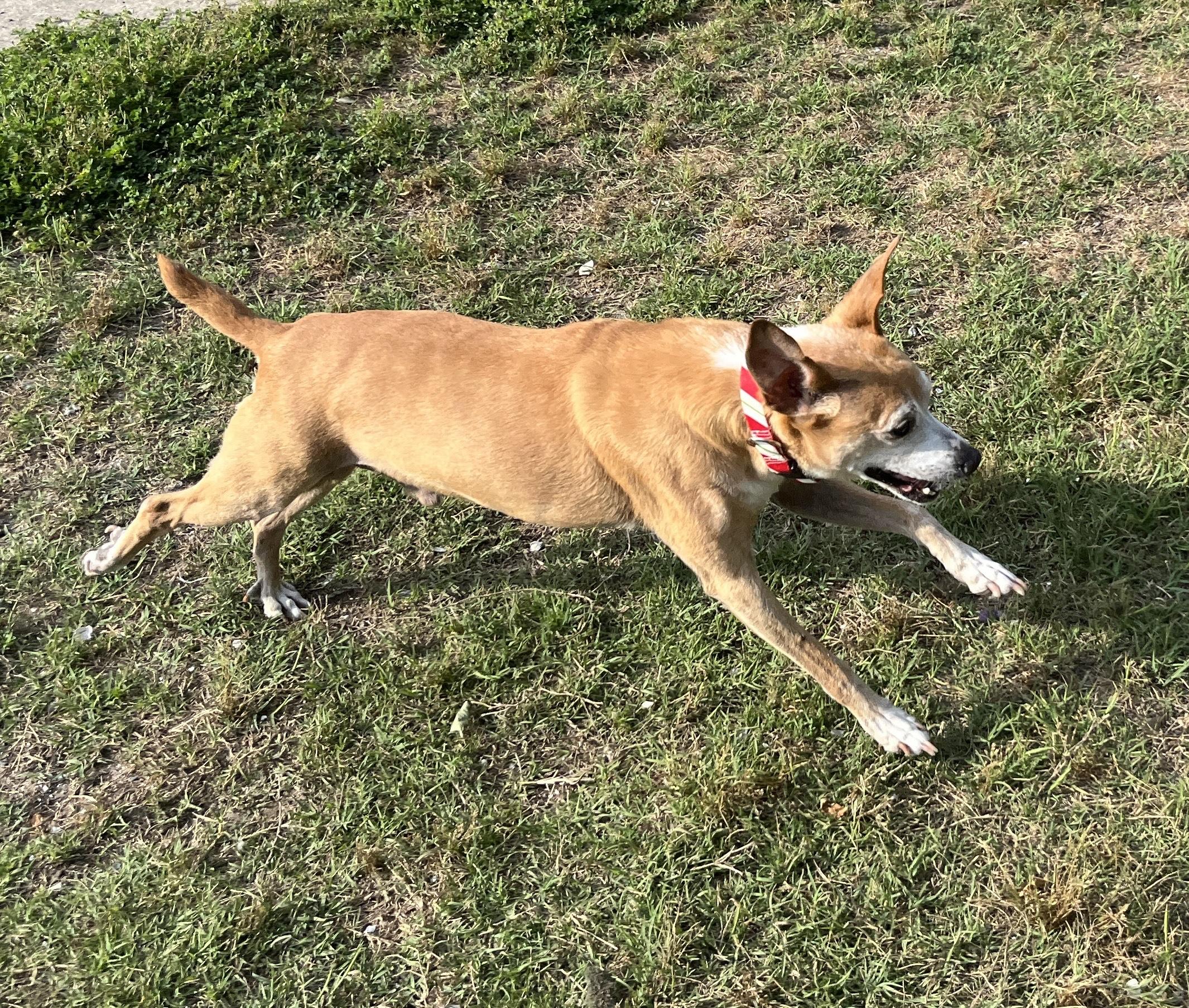 BERNIE photo 5
